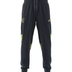 Ajax Amsterdam Seasonal Herren Fußballhose