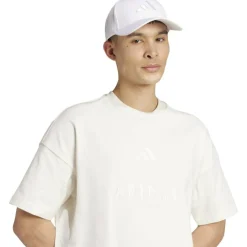 ALL SZN Embroidered Graphics Herren T-Shirt