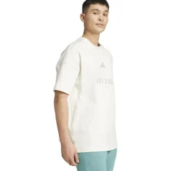 ALL SZN Embroidered Graphics Herren T-Shirt