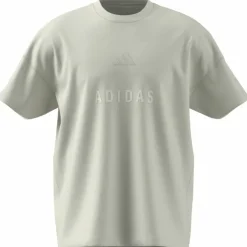 ALL SZN Embroidered Graphics Herren T-Shirt