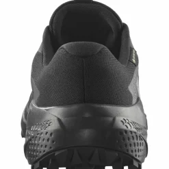 Alphaglide GTX Herren Trailrunningschuhe