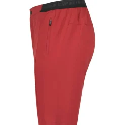 Baxter Herren Shorts