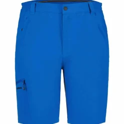 Berwyn Herren Shorts