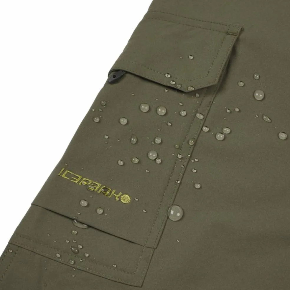 Braswell Herren Shorts