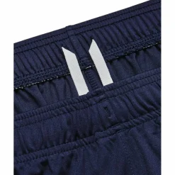 Challenger Core Herren Shorts
