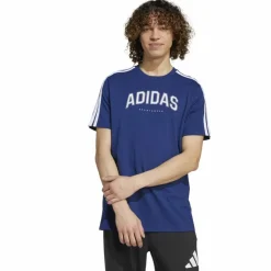 Codes Collegiate Linear Graphic Herren T-Shirt