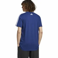 Codes Collegiate Linear Graphic Herren T-Shirt