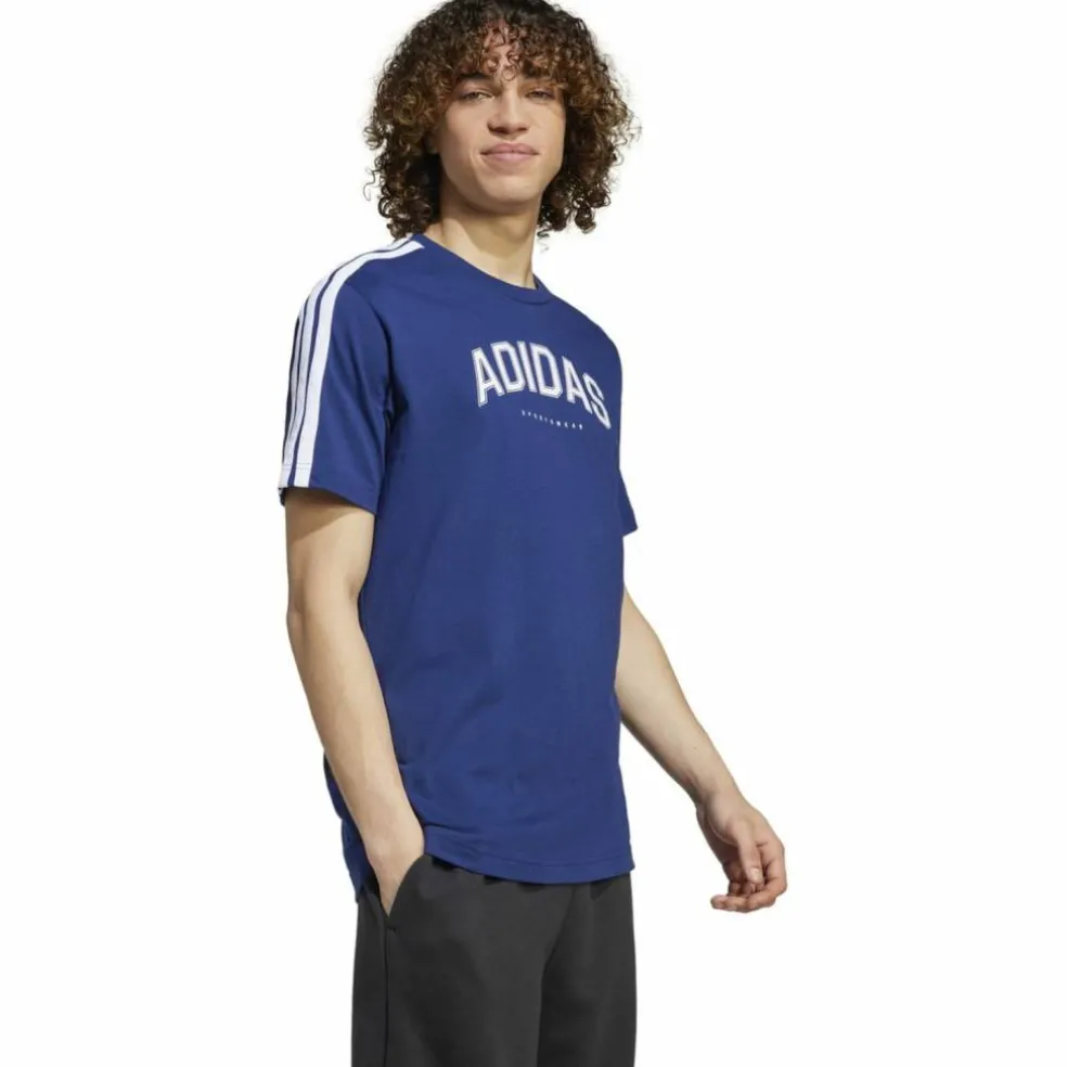 Codes Collegiate Linear Graphic Herren T-Shirt