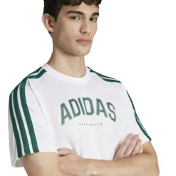 Codes Collegiate Linear Graphic Herren T-Shirt