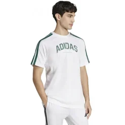 Codes Collegiate Linear Graphic Herren T-Shirt
