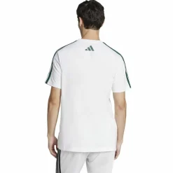 Codes Collegiate Linear Graphic Herren T-Shirt