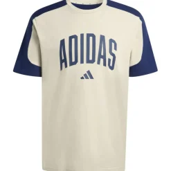 Collegiate T-Shirt Herren T-Shirt