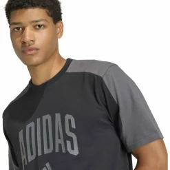 Collegiate T-Shirt Herren T-Shirt