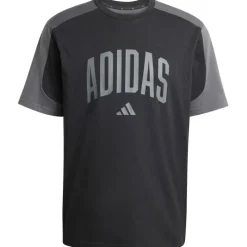 Collegiate T-Shirt Herren T-Shirt
