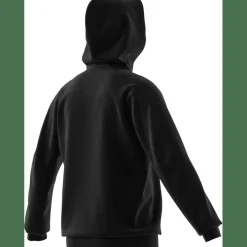 Designed for Training Herren Kapuzensweater
