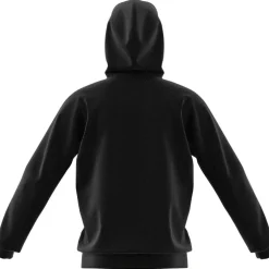 Designed for Training Herren Kapuzensweater