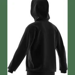 Designed for Training Herren Kapuzensweater