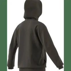 Designed for Training Herren Kapuzensweater
