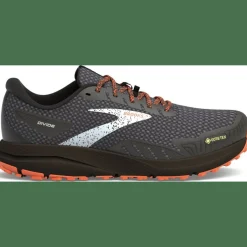Divide 4 GTX Herren Trailrunningschuhe