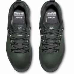 Ducan III Low LTH GTX Herren Multifunktionsschuhe