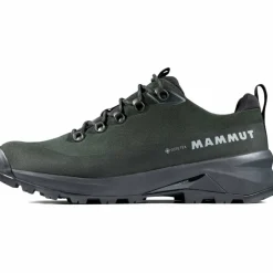 Ducan III Low LTH GTX Herren Multifunktionsschuhe