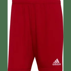 Entrada 22 Herren Shorts