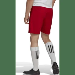 Entrada 22 Herren Shorts