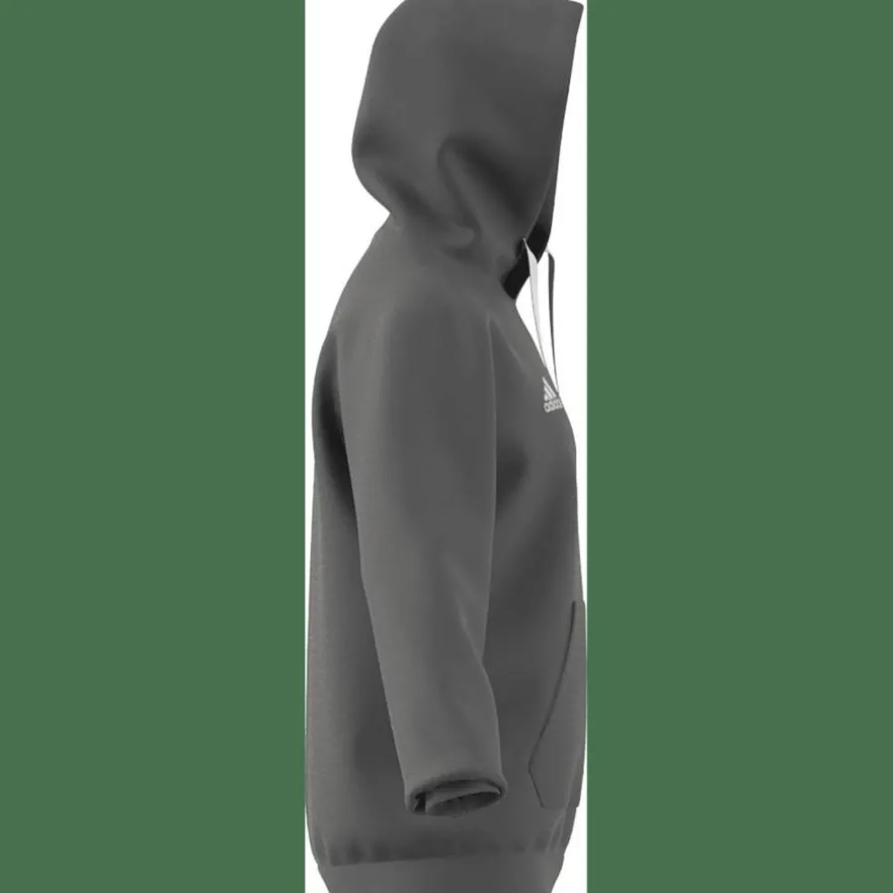 Entrada 22 Sweat Hoodie Herren Kapuzensweater