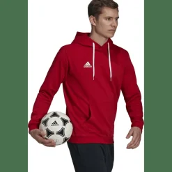 Entrada 22 Sweat Hoodie Herren Kapuzensweater