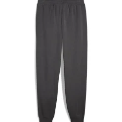 ESS 2 Color No. 1 Logo FL CL Herren Hose