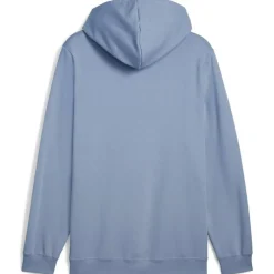 ESS 2 Color Small No. 1 Logo FL Herren Kapuzensweater