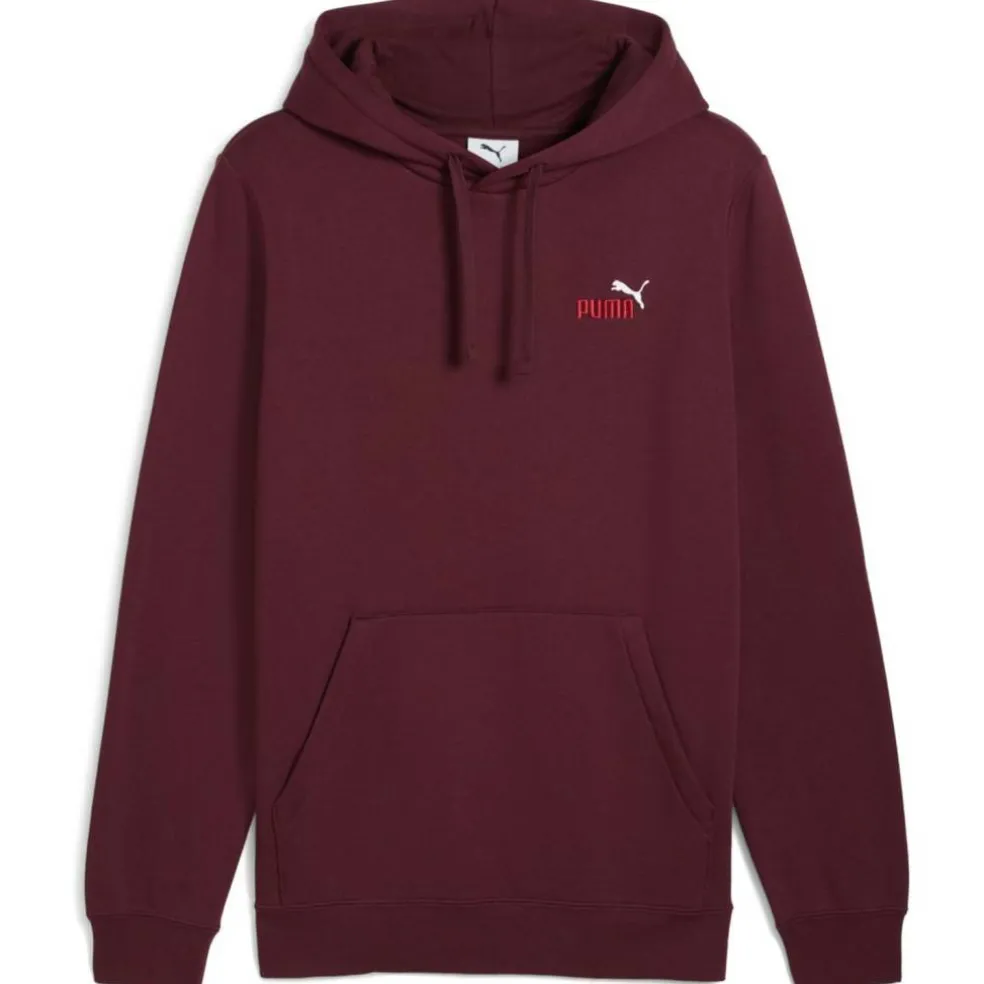 ESS 2 Color Small No. 1 Logo FL Herren Kapuzensweater