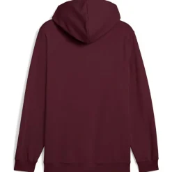 ESS 2 Color Small No. 1 Logo FL Herren Kapuzensweater