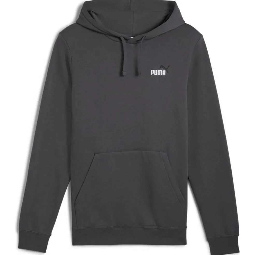 ESS 2 Color Small No. 1 Logo FL Herren Kapuzensweater