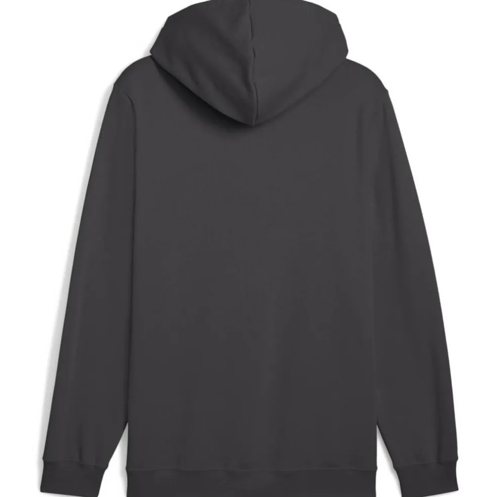 ESS 2 Color Small No. 1 Logo FL Herren Kapuzensweater