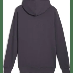 ESS Elevated FL Herren Kapuzensweater