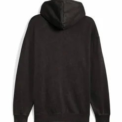 ESS Elevated Relaxed Wash FL Herren Kapuzensweater