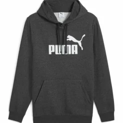 ESS No. 1 Logo FL Herren Kapuzensweater