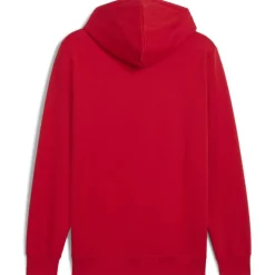 ESS No. 1 Logo FL Herren Kapuzensweater