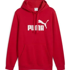 ESS No. 1 Logo FL Herren Kapuzensweater