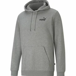 ESS Small Logo FL Herren Kapuzensweater