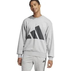 Essentials Big Logo French Terry Herren Sweatshirt
