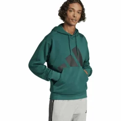 Essentials Big Logo French Terry Herren Kapuzensweater