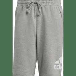 Essentials Big Logo French Terry Herren Shorts