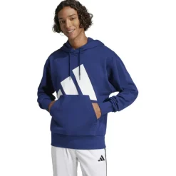 Essentials Big Logo French Terry Herren Kapuzensweater