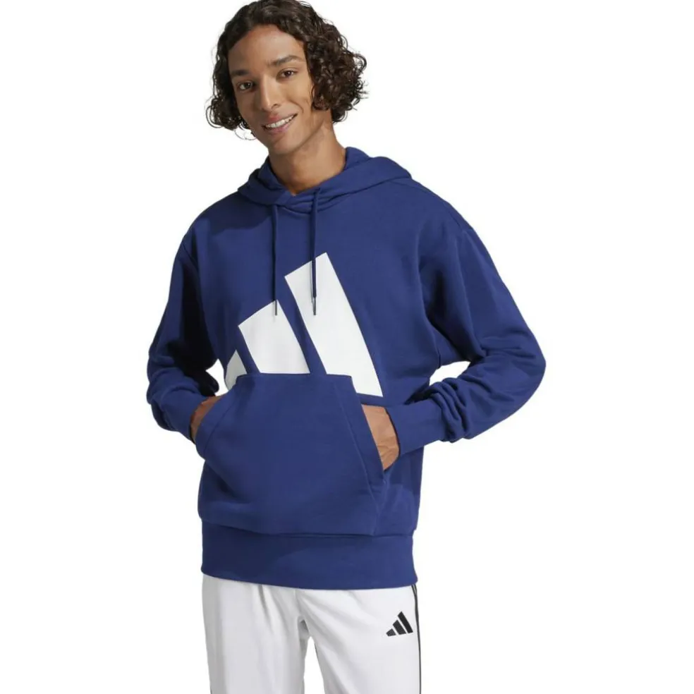 Essentials Big Logo French Terry Herren Kapuzensweater