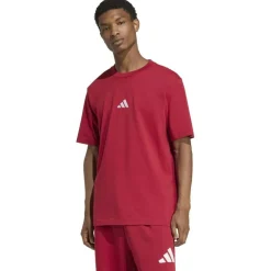 Essentials Small Logo Single Herren T-Shirt