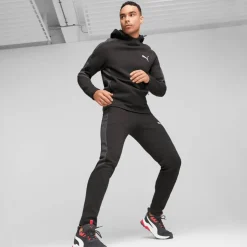 Evostripe DK Herren Kapuzensweater