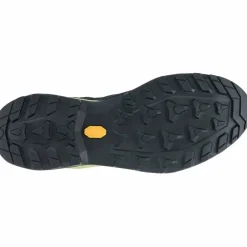 Explorer GTX Low Herren Trekking-Halbschuhe
