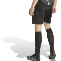 FC Bayern München 24/25 Auswärtsshorts Herren Teamhose